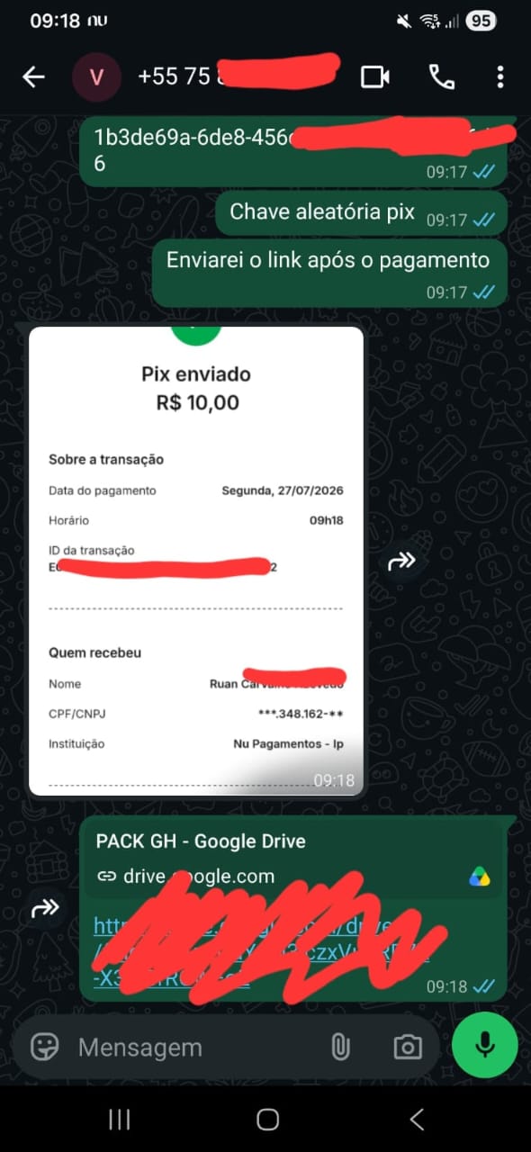 Comprovante Pix e link do Google Drive enviado ao cliente